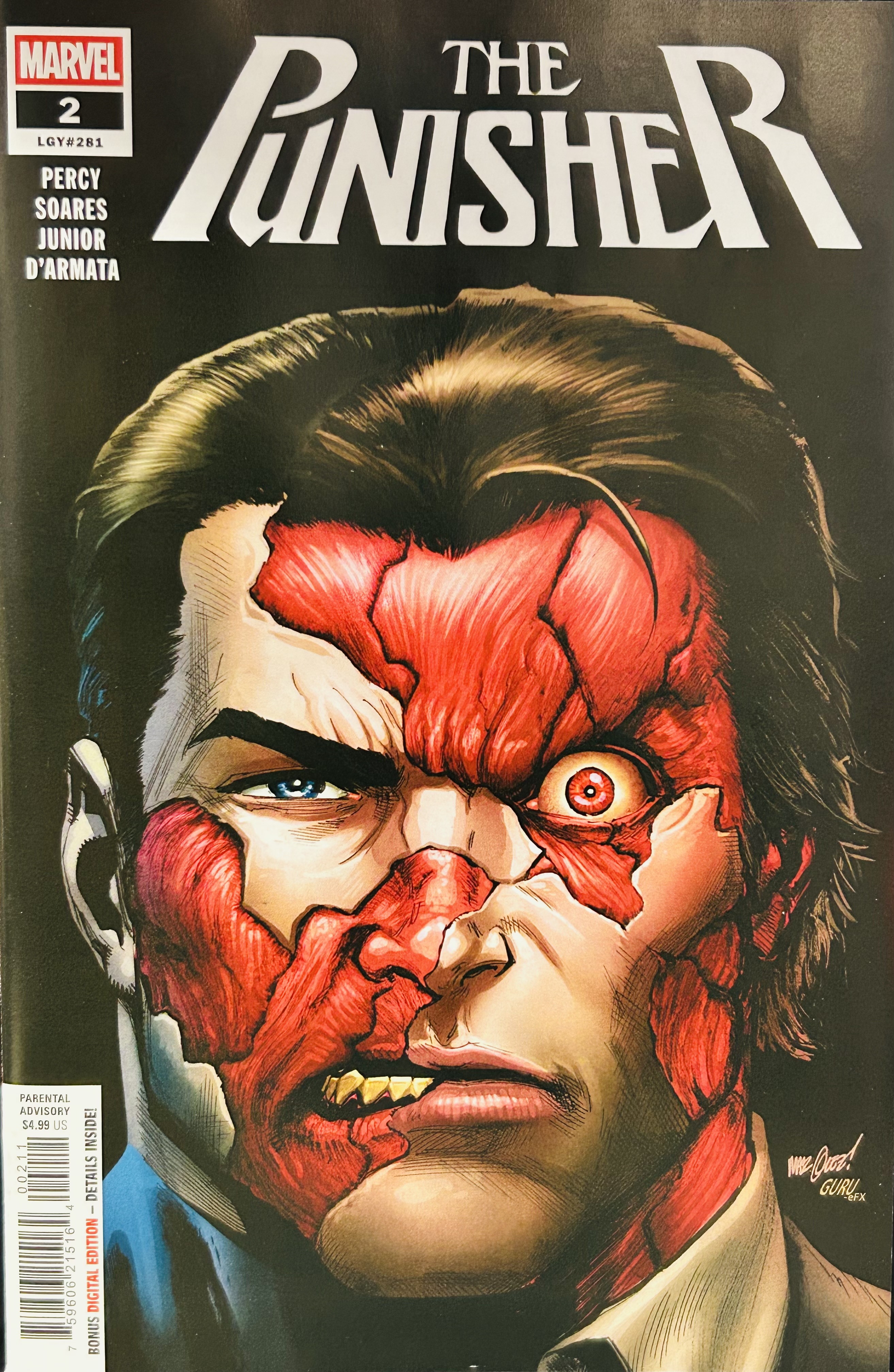 The Punisher #2