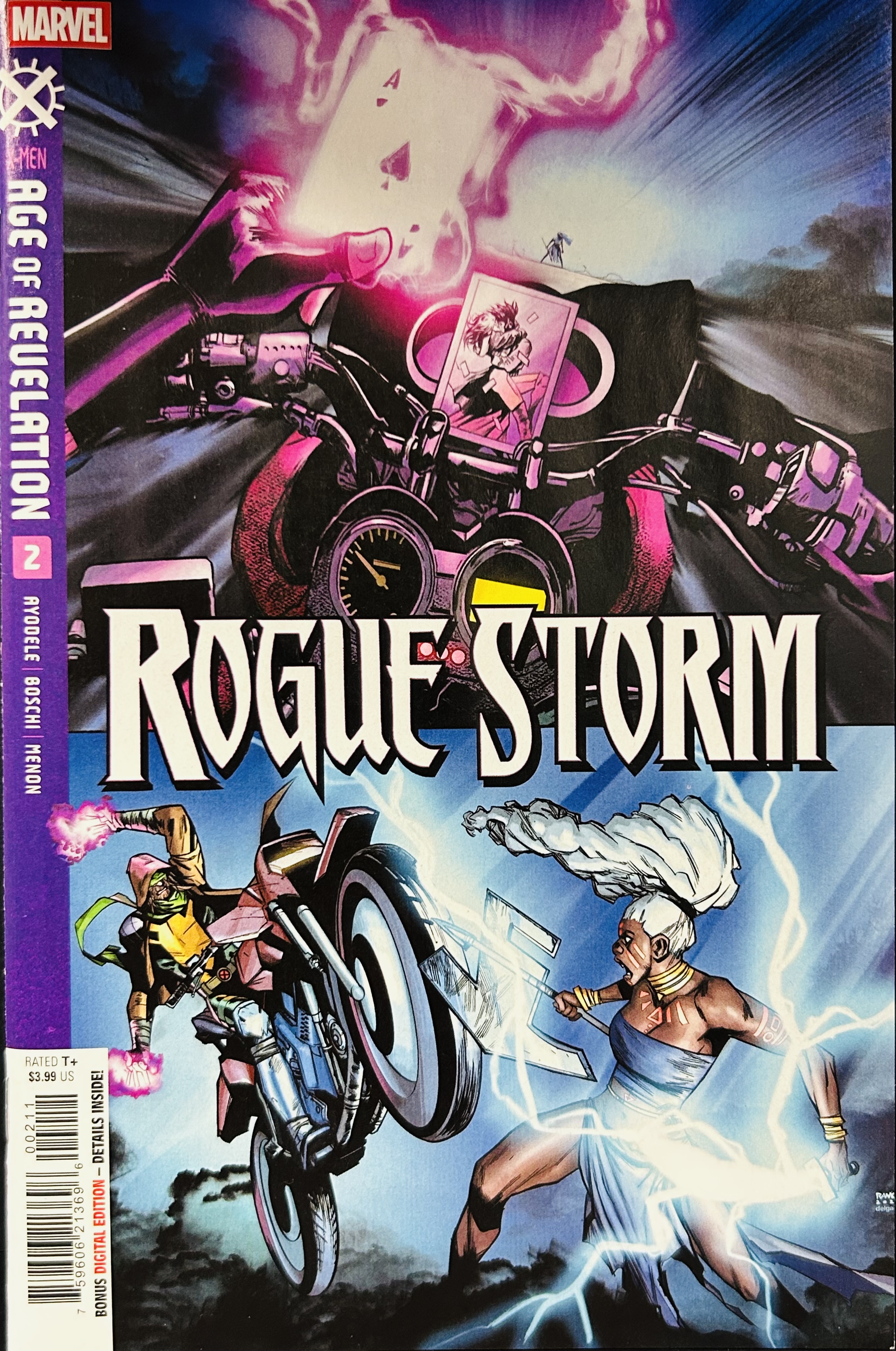 Rogue & Storm #2
