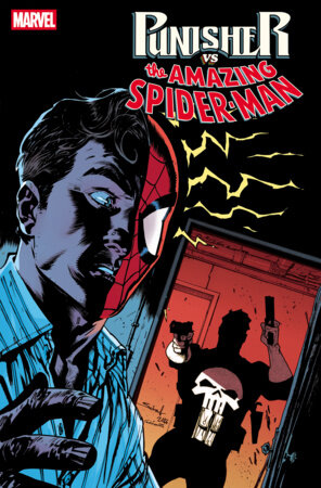 Punisher Vs the Amazing Spider-man #4 comic book cover